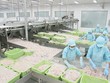 Doanh nghiệp thuỷ sản, lãi lớn vẫn không nhẹ nỗi lo