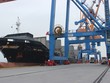 Cảng Nam Hải Đình Vũ tri ân khách hàng