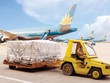 NCT dự kiến mức cổ tức năm 2014 đạt trên 100%