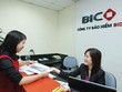 BIC đặt mục tiêu lợi nhuận hợp nhất đạt tối thiểu 144 tỷ đồng năm 2015