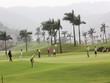 Nhiều doanh nhân tìm đến sân golf để giải tỏa áp lực công việc