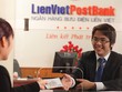 LienVietPostBank có thể đầu tư khoảng 20.000 - 25.000 tỷ đồng cho dự án cây mắc ca