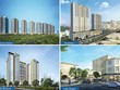 Các dự án nổi bật của Tập đoàn Novaland: The Sun Avenue (Mai Chí Thọ, Q.2), RiverGate (Bến Vân Đồn, Q.4), The Botanica (Phổ Quang, Q. Tân Bình) và Lucky Dragon (Đỗ Xuân Hợp, Q.9)