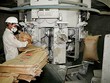 Giá xi măng quý I vừa qua đã tăng trung bình 20.000 đồng/tấn - Ảnh: Hoài Nam