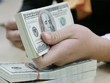 Thị trường ngoại hối thời gian tới dự báo sẽ tiếp tục ổn định