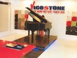 Vicostone tạm ứng cổ tức năm 2015, tỷ lệ 20%
