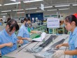 Công nghiệp hỗ trợ đang thu hút khá nhiều dự án FDI. Ảnh: Chí Cường