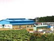 Nhà máy sản xuất rượu vang với quy mô lớn của VDL