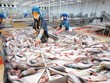 Kế hoạch rời sàn của VTF được nhìn nhận nằm trong dự liệu của công ty mẹ HVG