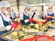 Kinh nghiệm đáng tiếc từ Luật Bảo hiểm xã hội
