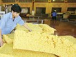 Lợi nhuận của các DN cao su tự nhiên giảm tới 40-50% so với cùng kỳ năm ngoái  