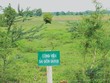 Dự án Công viên Sài Gòn Safari hiện bất động sau hơn một thập kỷ triển khai
