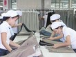 Doanh nghiệp Châu Âu sẽ gia tăng đầu tư vào Việt Nam nhờ cú hích EVFTA.