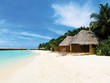 Những nỗi đau mang tên… sốt đất!