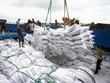Theo giới thiệu của Vinafood 1 thì Tổng công ty có 40 lĩnh vực ngành nghề kinh doanh (Ảnh Internet)