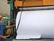 Sojitz dời dự án bột giấy từ Quảng Ngãi về Quảng Ninh?