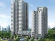 Hàng loạt dự án tại TP. HCM đã và sẽ bung hàng trong thời gian tới. Trong ảnh là Dự án Hưng Phát Silver Star vừa được Hưng Lộc Phát mở bán cuối tuần qua