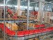 Giới đầu tư than phiền vì đại gia Sabeco lùi mãi kế hoạch bán bớt cổ phần Nhà nước