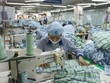 Cơ hội đầu tư cổ phiếu ngành dệt may