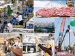 Trong 10 tháng đầu năm 2015, nền kinh tế tiếp tục phục hồi và đạt kết quả tăng trưởng cao hơn năm trước. Ảnh minh họa