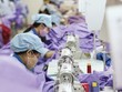 Dự kiến, ngành dệt may sẽ đạt mức tăng trưởng 25%/năm sau khi TPP có hiệu lực