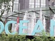 Ban lãnh đạo OGC sẽ phải cơ cấu lại các tài sản để có thể sớm trở lại hoạt động ổn định