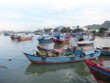 Hiện mới chỉ có 33,57% trong tổng số 28.000 tàu cá (bao gồm các tàu dự kiến đóng mới) tham gia bảo hiểm