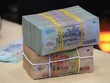 Năm 2015, VAMC đã duyệt mua hơn 111.000 tỷ đồng nợ gốc của TCTD