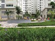 Không gian xanh trong khu nhà ở xã hội thu nhập thấp Ecohome