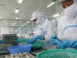 86,8% doanh nghiệp ngành chế biến, chế tạo cho rằng, tình hình sản xuất-kinh doanh trong quý III và 6 tháng cuối năm nay sẽ khả quan
