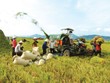 Làm gì khi nông nghiệp - trụ đỡ của nền kinh tế đang lung lay?