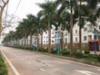 Ảnh Internet