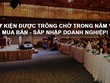 Diễn đàn Mua bán - Sáp nhập lớn nhất Việt Nam khai mạc ngày 18/8 tại TP. HCM