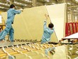 Sản phẩm kính xây dựng của một số doanh nghiệp trong nước có sức cạnh tranh tốt hơn hàng nhập khẩu. Ảnh: Dũng Minh