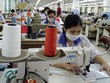 Các doanh nghiệp may mặc Việt Nam đang gặp khó do đầu ra hạn chế