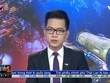 Bản tin tài chính kinh doanh trưa 17-10