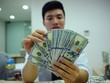 Vốn đầu tư trực tiếp và gián tiếp nước ngoài có xu hướng tăng, lượng kiều hối được duy trì
