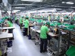 Nhiều ngành công nghiệp sẽ thu hút dòng vốn đầu tư từ EU