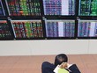 Trong số cả nghìn cổ phiếu niêm yết và đăng ký giao dịch trên sàn hiện nay, chỉ có vài chục mã nhận được sự quan tâm của nhà đầu tư Nhật Bản