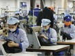 Dệt may năm 2017, khó vẫn có lối đi riêng