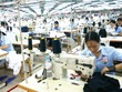 Doanh nghiệp dệt may vừa lên sàn, vừa "lăn tăn" bị thâu tóm