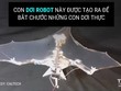 Dơi robot bay như dơi thật