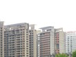 Dự án Kenton Node hồi sinh sau 7 năm “hấp hối”. Ảnh: Gia Huy