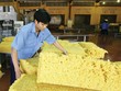 Ngày 21/6, DRC chốt quyền hưởng cổ tức, tỷ lệ 13%