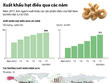 [Infographic] Xuất khẩu hạt điều qua các năm
