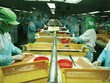 Không lãng phí cơ hội tăng trưởng kinh tế