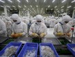 DOC thay đổi cách tính thuế với tôm Việt Nam. Ảnh: Reuters