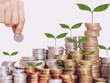 Nỗi niềm “ông chủ” chờ mong cổ tức
