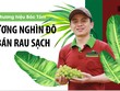Chủ thương hiệu Bác Tôm: Bỏ lương nghìn đô về bán rau sạch
