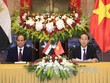Chủ tịch nước Trần Đại Quang và Tổng thống Ai Cập Abdel Fattah Al Sisi chủ trì họp báo, thông báo kết quả hội đàm